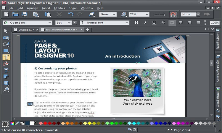 Xara Designer Pro+ 24 x64 PC Software