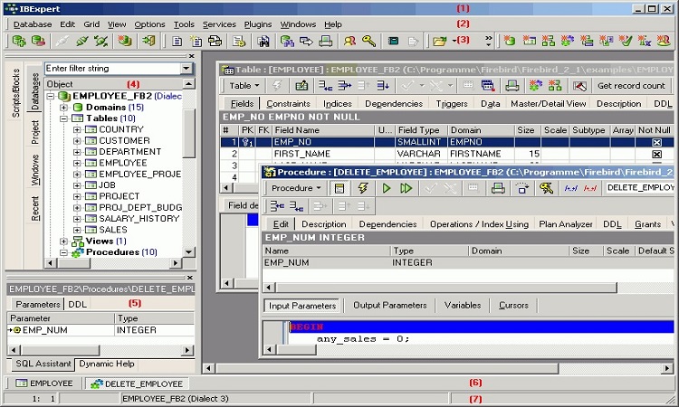 IBExpert 2024.1.22.1 PC Software