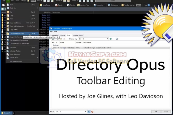 Directory Opus 2026 v13.20 for pc software