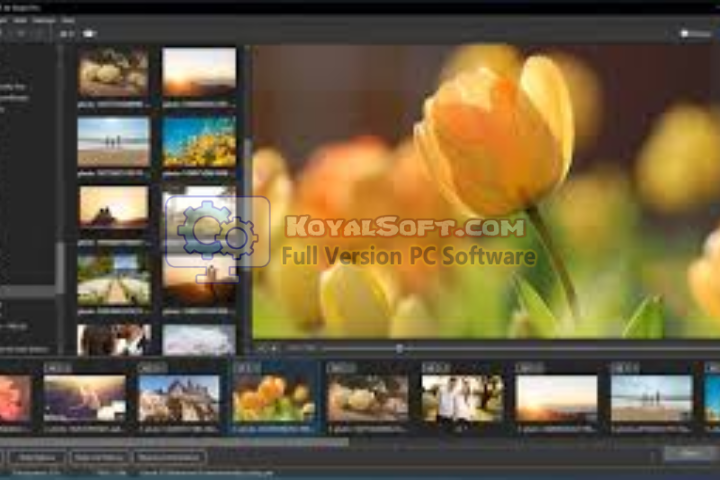 WnSoft PTE AV Studio Pro 2026 v11.0.20 for pc software