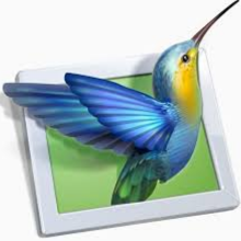 WnSoft PTE AV Studio Pro 2026 v11.0.20 [Latest Software]