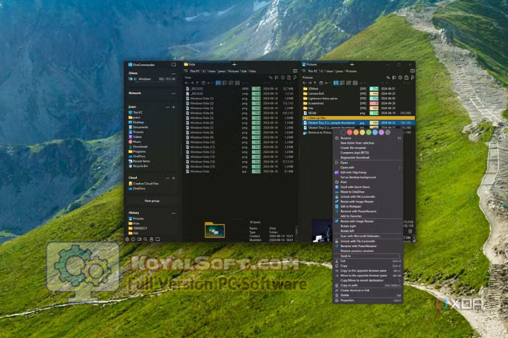 OneCommander Pro 2026 v3.104.1 for pc software
