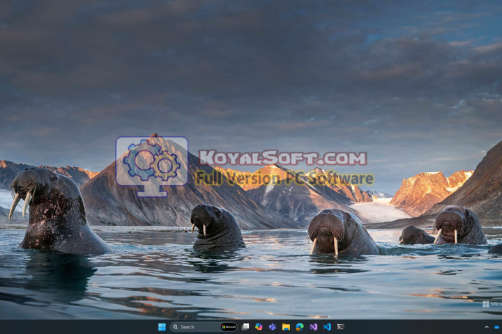 Bing Wallpaper 2026 v1.1.434.0 free download