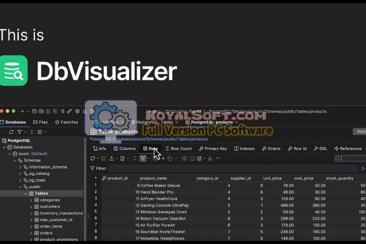 DbVisualizer Pro 2026 v25.2.6 for pc software