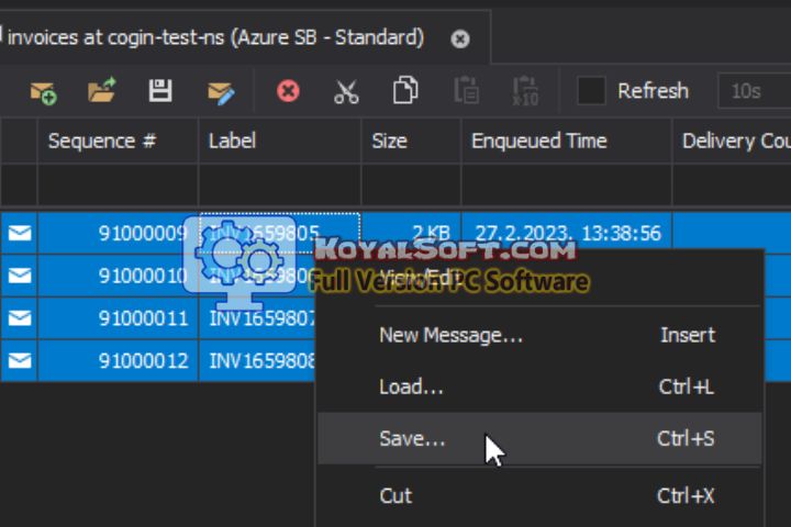 QueueExplorer Professional v5.0.65 for ps software QueueExplorer Professional v5.0.65 for ps software