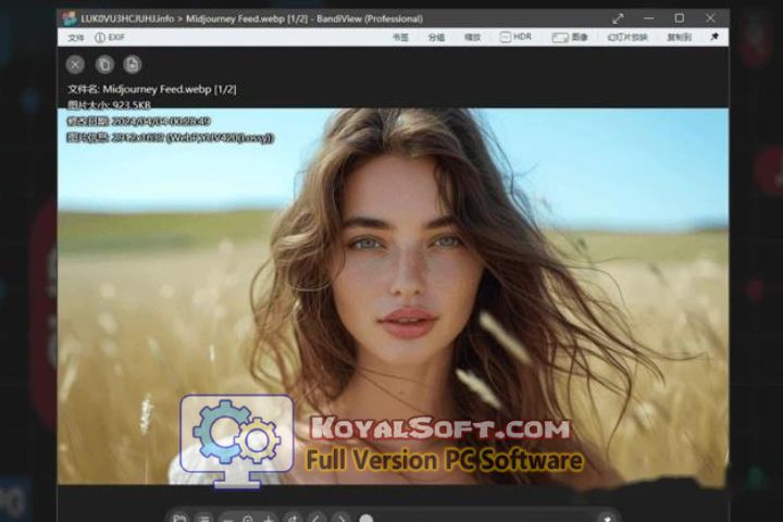 BandiView Pro 2026 v7.24 free dowwnload